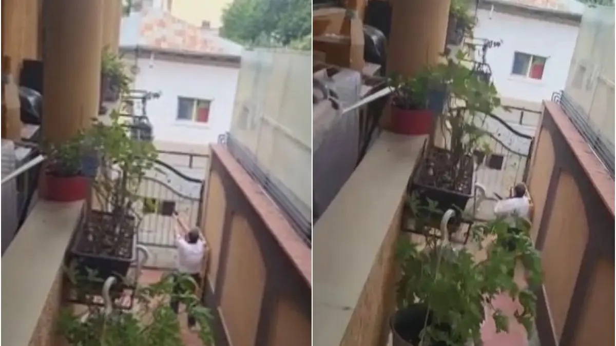 focuri de arma in apropierea locuintei premierului luca niculescu un barbat a fost filmat in timp ce tragea cu pistolul