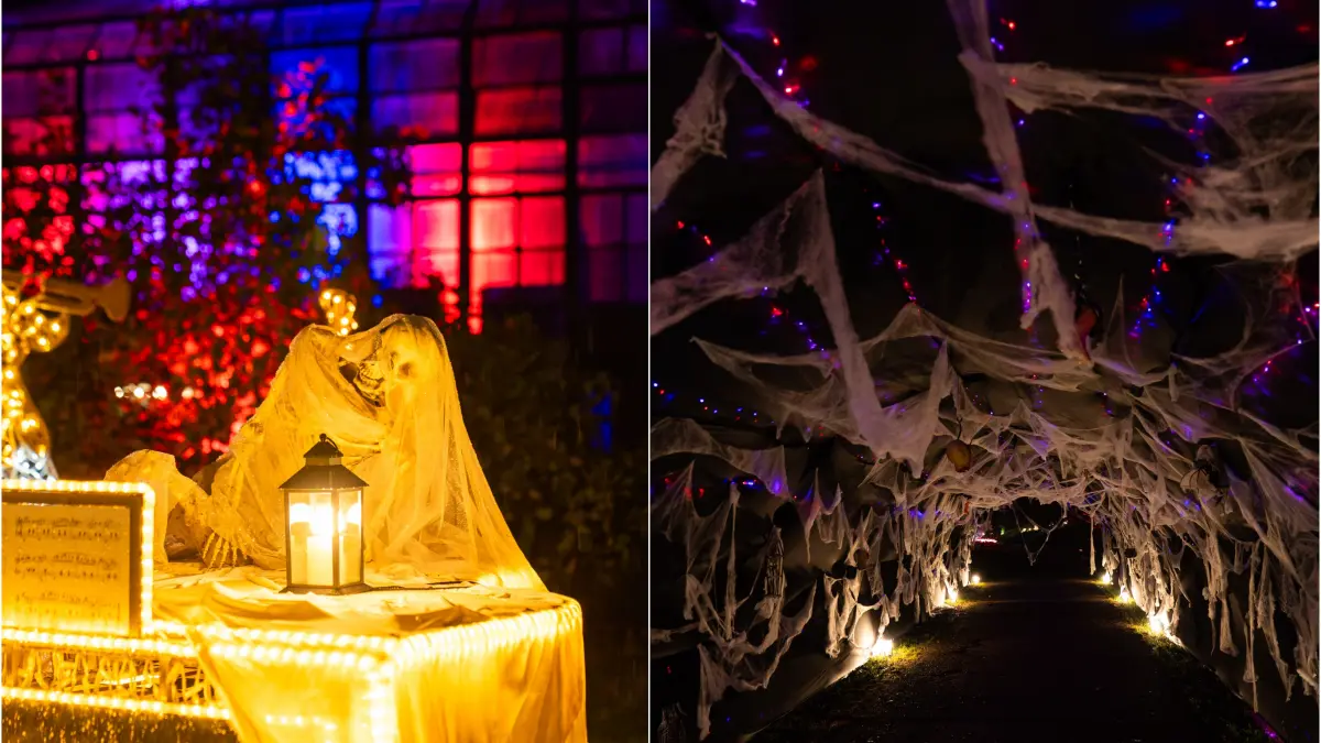 gradina botanica din bucuresti se transforma de halloween dovleci vrajitoare si sute de instalatii luminoase la lumina park