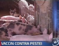 UE trimite 1 milion de doze de vaccin anti-pestă la Bucureşti