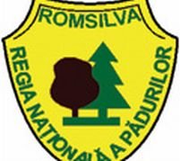Peste 4.000 de angajaţi ai Romsilva vor fi disponibilizaţi în 2008