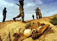 Lupte între armata Ciadului şi rebeli soldate cu sute de morţi

