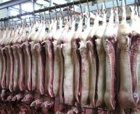 Alte 500 de kilograme de carne de porc contaminată cu dioxină, retrase de pe piaţă