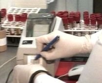 Producţia vaccinului împotriva gripei porcine, finalizată