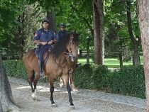 Patrule călare în parcurile Tineretului şi Carol, instituite de duminică de Poliţia Locală din Bucureşti 
