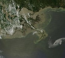 Golful Mexic: SUA se pregăteşte pentru cel mai mare dezastru ecologic
