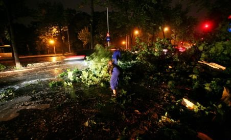 Copaci căzuţi, două maşini avariate şi un semafor distrus după furtuna de miercuri noapte