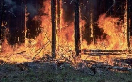 Incendiu puternic în Oklahoma: Zeci de familii au fost evacuate