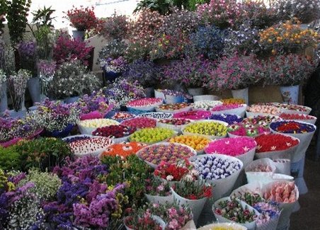 IJP Bacău a confiscat 2.000 de fire de flori