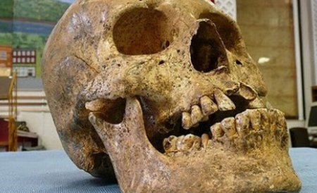 Doi oameni ai străzii au descoperit un craniu şi oase de om într-un tomberon din Braşov