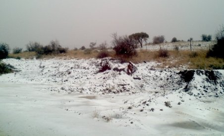 A nins în Namib, unul din cele mai secetoase deşerturi de pe planetă