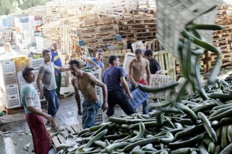 Cultivatorii români de castraveţi şi roşii cer despăgubiri de la Comisia Europeană
