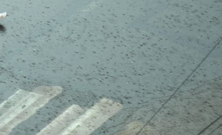 În Botoşani, străzile se asfaltează chiar dacă plouă torenţial