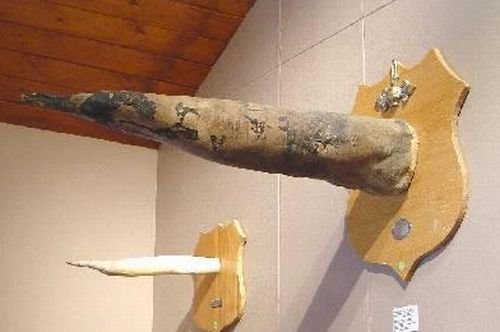 Cea mai mare colecţie de penisuri, într-un muzeu din Islanda