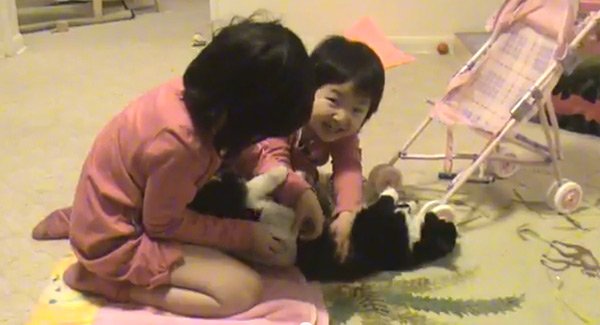 Un altfel de bebeluş: Două fete asiatice pun scutec unei pisici