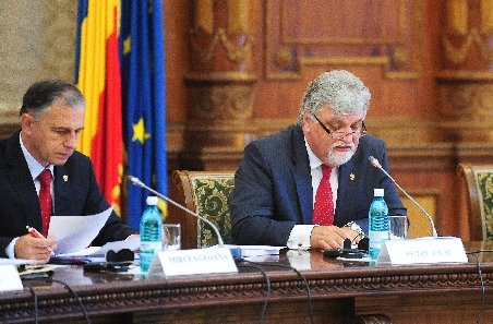 Vicepreşedintele Senatului: Cererea PSD de înlocuire a lui Geoană nu a fost supusă votului în Biroul Permanent