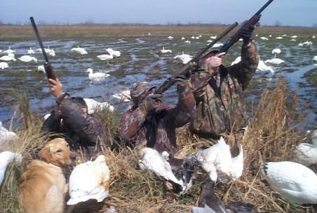 Liber la vânătoare în Delta Dunării. ONG-urile sunt îngrozite de noua propunere