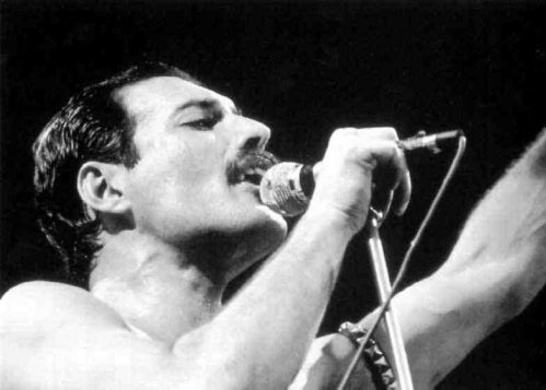 Douăzeci de ani fără Freddie Mercury: The Show Must Go On