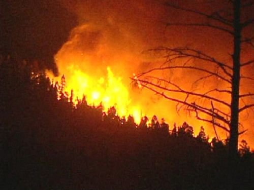 Sute de hectare de vegetaţie au dispărut înghiţite de flăcări. Un foc lăsat nesupravegheat a provocat prăpădul