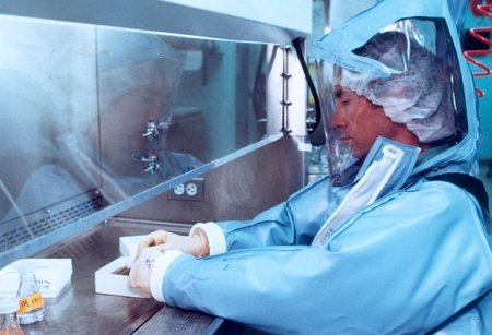 Europa, în alertă! Un laborator olandez a creat o tulpină mortală a virusului gripei aviare 