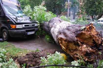 Copaci căzuţi, acoperiş smuls şi localităţi fără curent în urma unei furtuni la Bistriţa