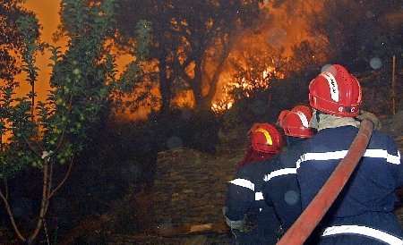 Incendiu de proporţii într-o pădure din Buzău. Peste 100 de oameni au acţionat la stingerea focului
