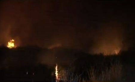 Constanţa. Incendiu pe o suprafaţă de doi kilometri, în Delta Dunării
