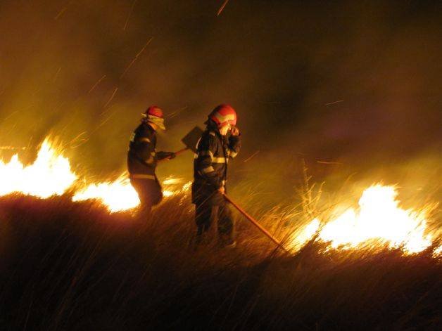Rezervaţia naturală din Delta Dunării, mistuită de flăcări. Peste zece hectare au ars în Histria