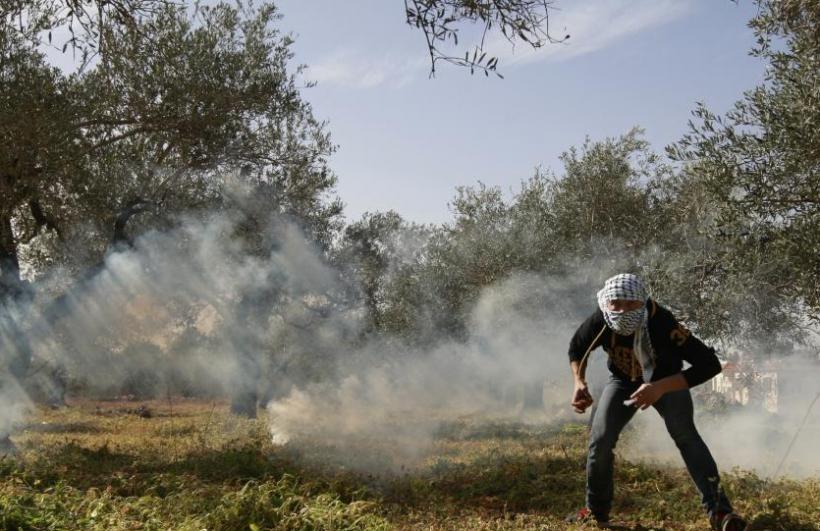 Ciocniri Intre Palestinieni Si Poliţisti Israelieni Pe Esplanada