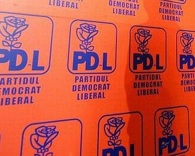 Ruperea PDL: Organizaţia democrat-liberală din Drobeta Turnu Severin a fost dizolvată