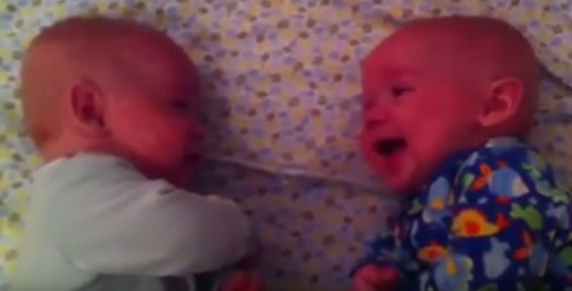 Ceva mai dulce nu există! Cum vorbesc între ei doi bebeluși gemeni - VIDEO 
