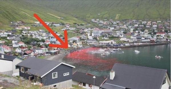 Au făcut o poză la malul mării și au observat că apa era roșie. Când au văzut ce se întâmpla, oamenii au izbucnit în lacrimi