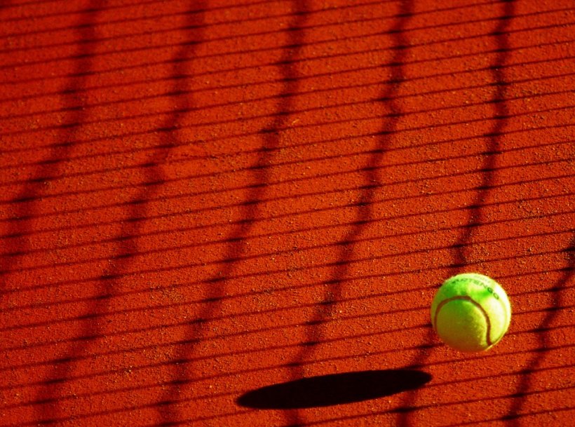 Monica Niculescu, eliminată de la Wimbledon în turul doi