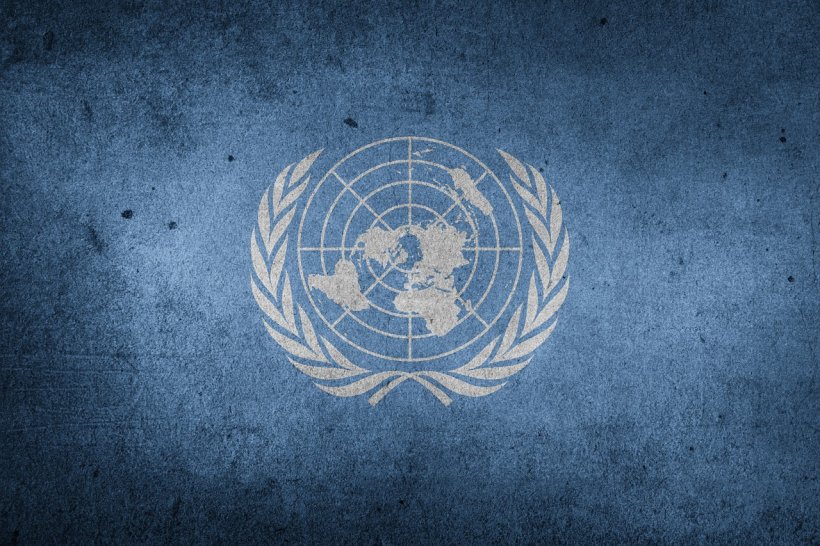 Reuniune de urgență a Consiliului de Securitate al ONU, la cererea Rusiei