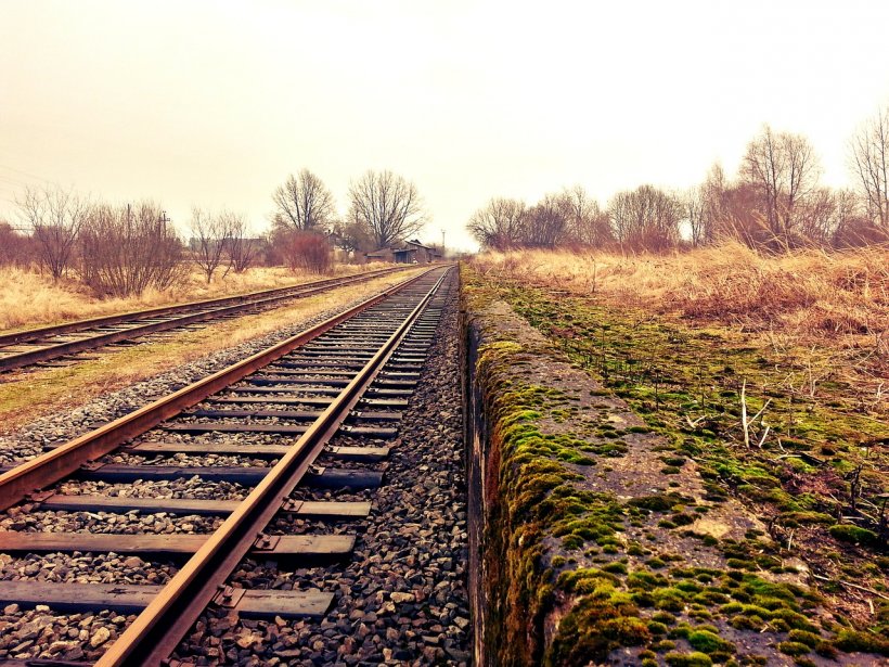 Descoperire șocantă pe calea ferată, între Sibiu și Copşa Mică. Circulaţia trenurile a fost oprită