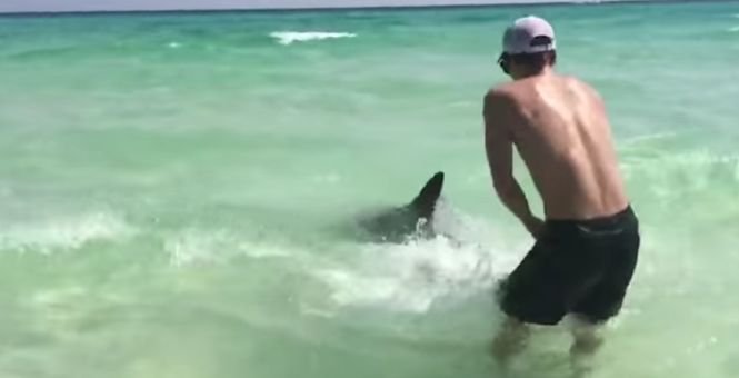 Un tânăr a scos un rechin din apă cu mâinile goale. Când a văzut ce avea răpitorul în gură a trăit un șoc - VIDEO