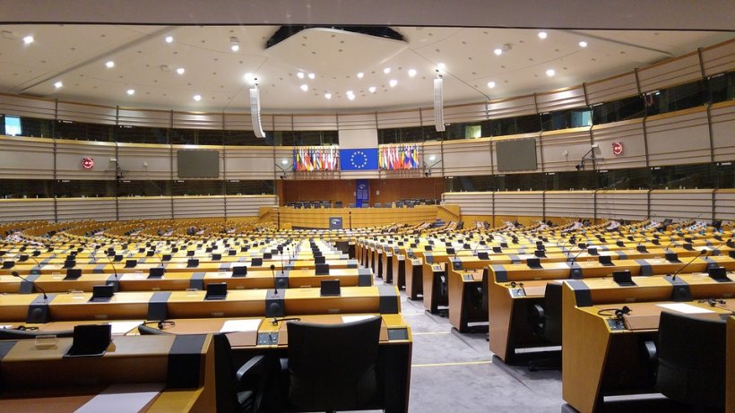 Structura Parlamentului European: Cum se formează grupurile politice