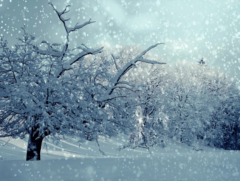 Ce miros are un fulg de zăpadă? Răspunsul incredibil oferit de un nevăzător