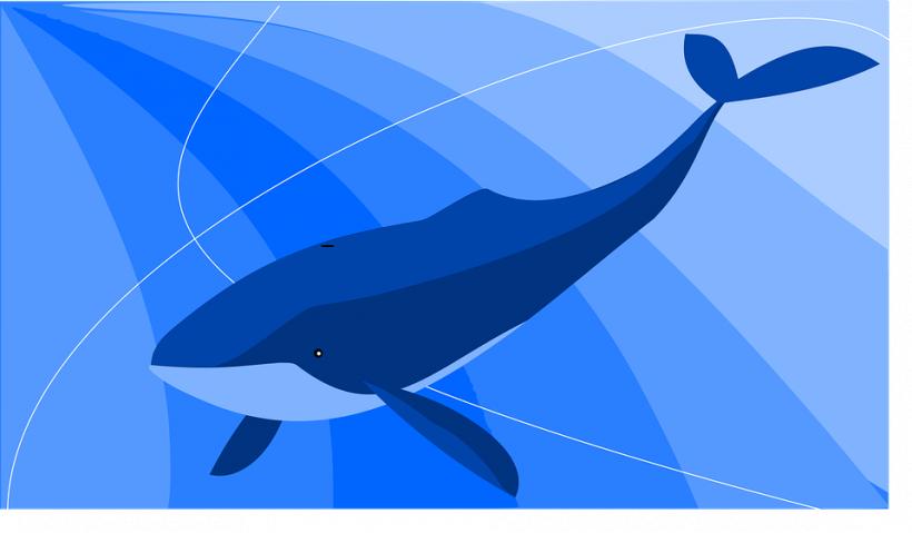 Tânărul care a inventat jocul &quot;Balena Albastră” a dezvăluit totul. Motivul pentru care a creat jocul este șocant 16