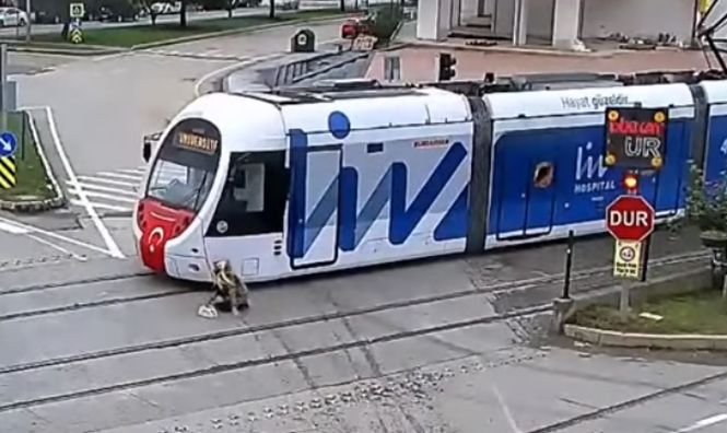 Momentul în care o femeie este lovită de un tramvai. Greșeala comisă de victimă înainte să fie rănită - VIDEO