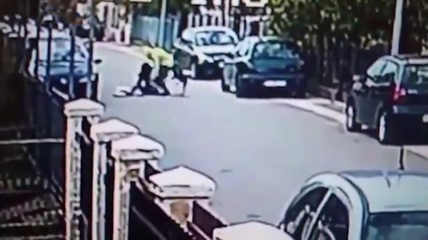 Incredibil! Cum a reacționat un cățel când a văzut că o femeie a fost atacată (VIDEO)
