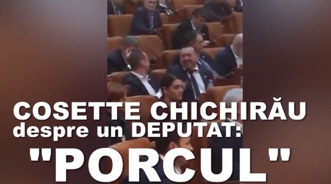 Noi jigniri incalificabile în Parlamentul României. Cosette Chichirău, despre Cătălin Rădulescu: „S-a îngrășat. A mai furat ceva. Râde ca porcul” - VIDEO