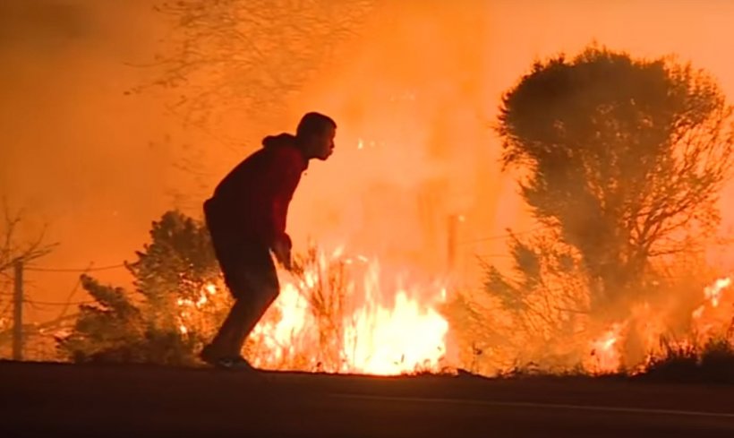 Și-a riscat viața pentru a salva un iepuraș în timpul unui incendiu imens. Imagini impresionante (VIDEO)