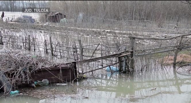 Un sat din Tulcea a fost acoperit de ape. Oamenii se deplasează cu bărcile - VIDEO
