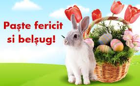 Imagini pentru paste fericit