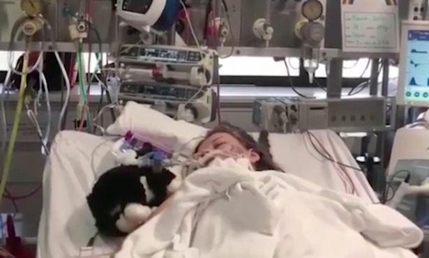 Aflată pe patul de spital, adolescenta s-a trezit din comă și i-a șoptit ceva de-a dreptul șocant mamei. Femeia a izbucnit imediat în lacrimi 16
