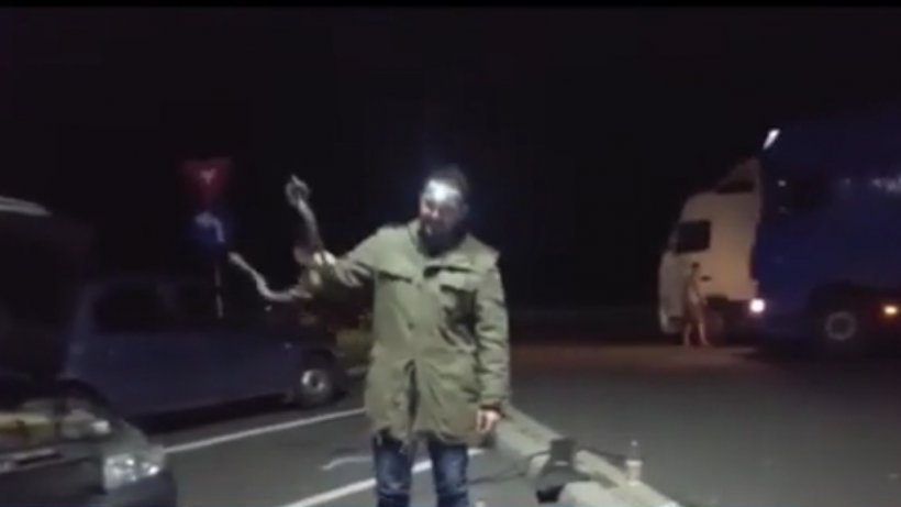 Clipe de coşmar pentru un şofer care se afla pe autostrada A1. S-a trezit cu un şarpe pe parbrizul maşinii - VIDEO