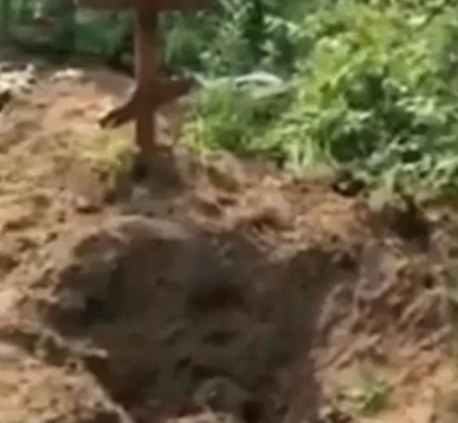 Doi urși au pătruns într-un cimitir și au dezgropat morminte. Scene șocante - VIDEO