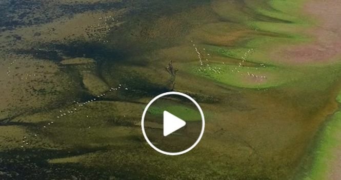 Insulă nou formată, în Marea Neagră. Imagini spectaculoase surprinse cu drona - VIDEO