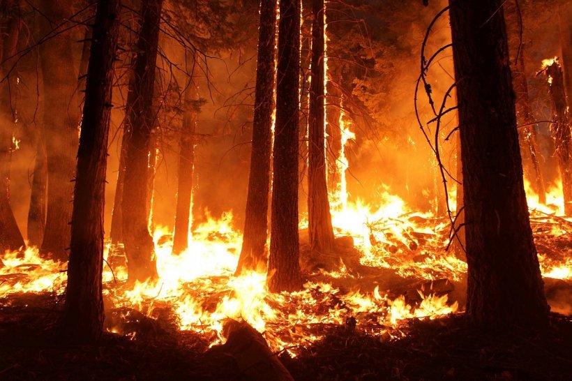 Incendiile uriaşe din California continuă să facă prăpăd! Bilanţul morţilor a ajuns la 63