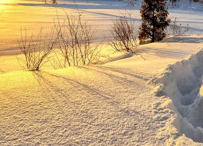 Locul din România în care stratul de zăpadă este de peste 70 de centimetri
